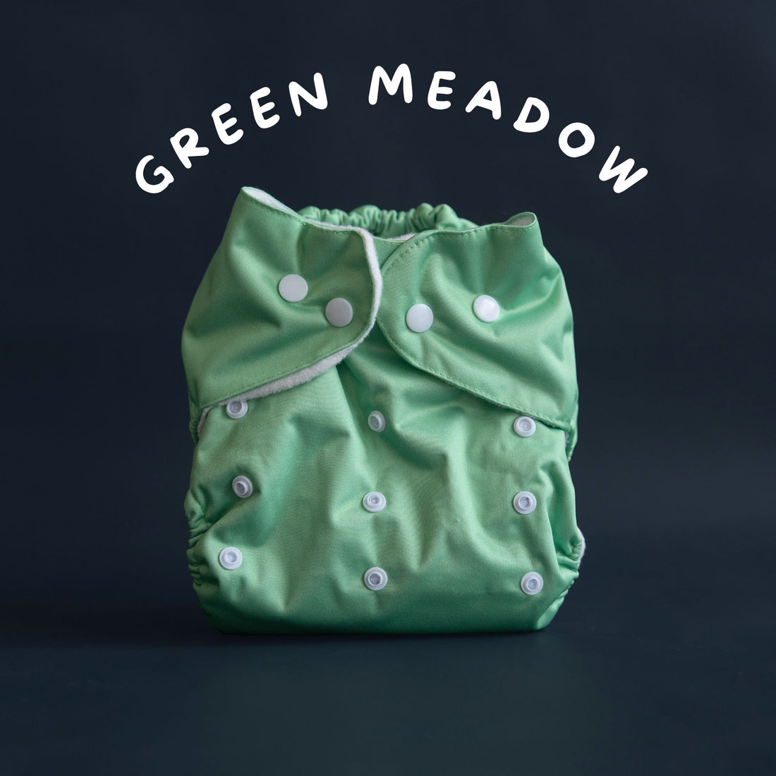Tinycare Premium Green Meadow Cloth Diaper